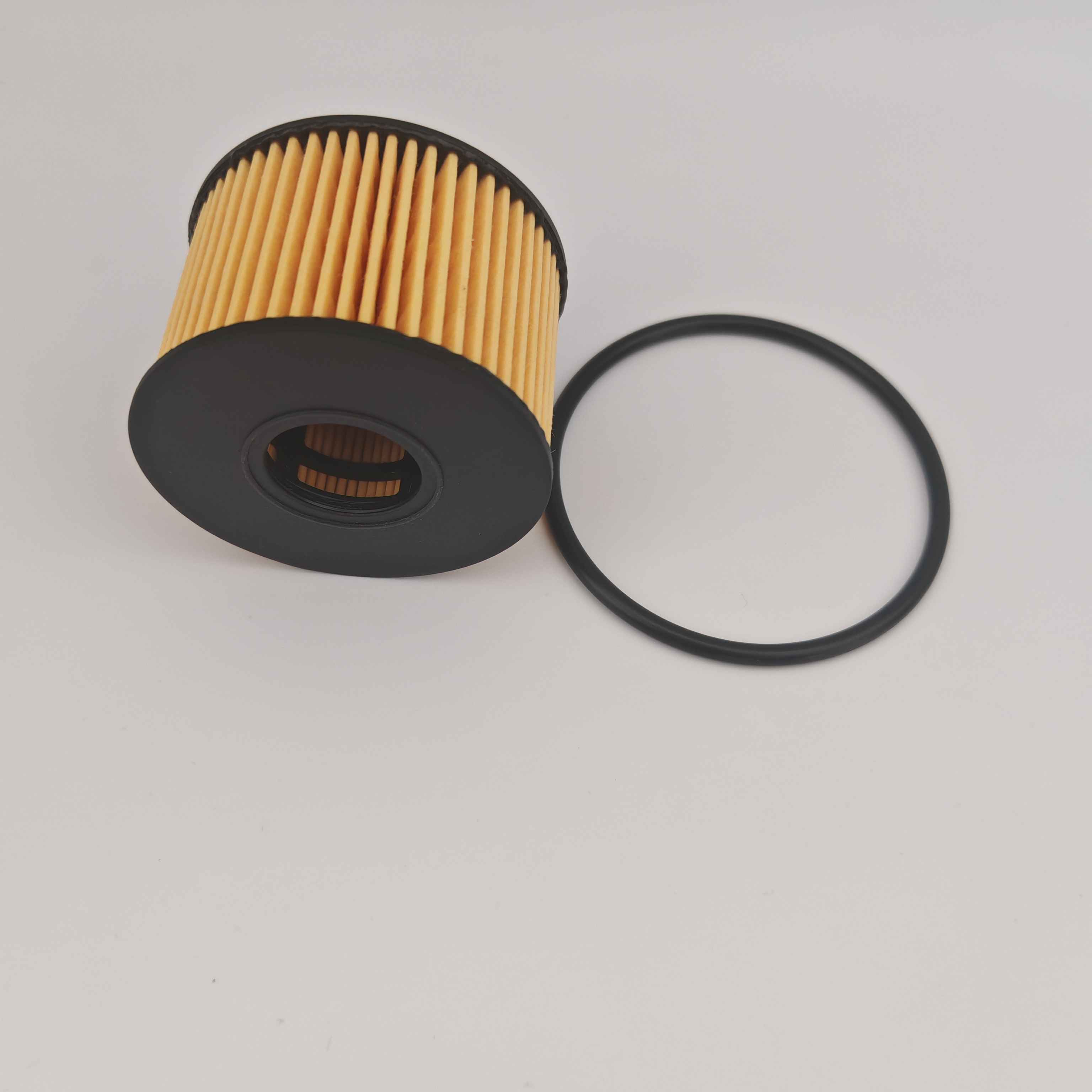د MS1-6744-AA OX12D فوش503 د JMC لپاره د تیلو فلټر